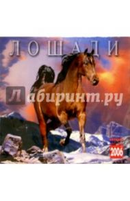 Календарь: Лошади 2006 год