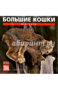 Календарь: Большие кошки 2006 год