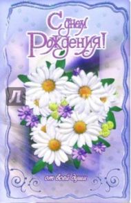 3ВКТ-009/День рождения/открытка двойная