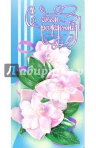 3ЕКТ-005/День рождения/открытка двойная