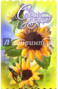 3КТ-177/День рождения/открытка-вырубка двойная