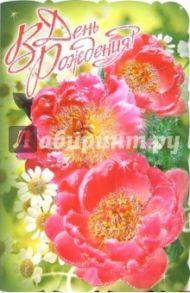 3КТ-180/День рождения/открытка-вырубка двойная