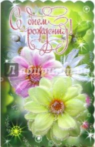 3КТ-199/День рождения/открытка-вырубка двойная