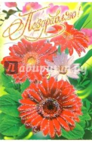 6Т-144/Поздравляю/открытка-вырубка
