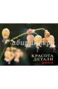 Календарь: Красота детали 2006 год