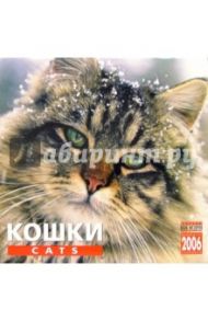 Календарь: Кошки 2006 год