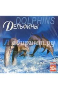 Календарь: Дельфины 2006 год