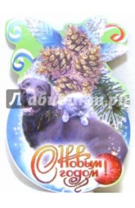 8Т-21/Собака с кошкой/открытка-шарик