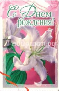 3ВКТ-043/День рождения/открытка-вырубка двойная