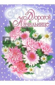 1ВКТ-009/Дорогой начальнице/открытка-гигант вырубка