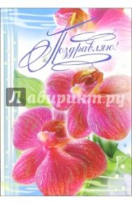 1ВКТ-011/Поздравляю/открытка-гигант вырубка