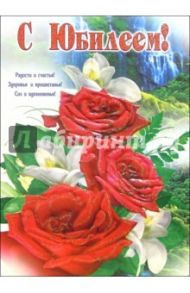 1ВКТ-020/С Юбилеем/открытка-гигант вырубка