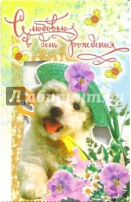 3ВКТ-050/День рождения/открытка-вырубка двойная