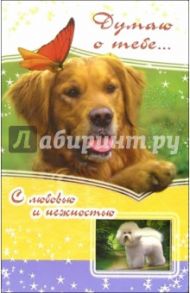 3ВКТ-055/Думаю о тебе/открытка-вырубка двойная