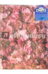 Фотоальбом 7518 AG4300S-PP (Natural Beauty)