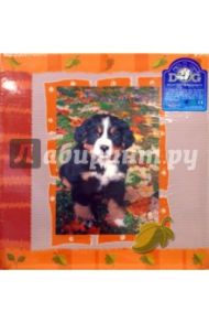 Фотоальбом 7538 AV46500 3-O (Funny Pets)