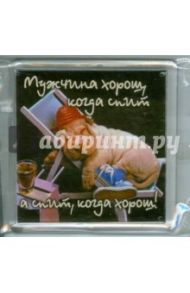 Магнитные подарочки. Мужчина хорош, когда спит, а спит, когда хорош!