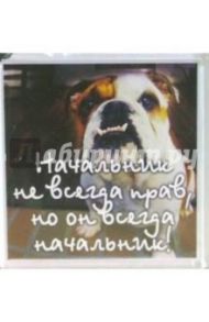 Магнитные подарочки. Начальник не всегда прав, но он всегда начальник!