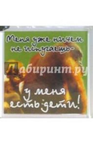 Магнитные подарочки. Меня уже ничем... (М-079)