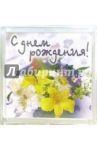 Магнитные подарочки. С Днем Рождения! (М-023)