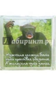 Магнитные подарочки. Мужчина должен...