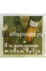 Магнитные подарочки. Я и мои доходы... (М-040)