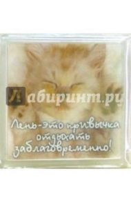 Магнитные подарочки. Лень-это привычка отдыхать заблаговременно!