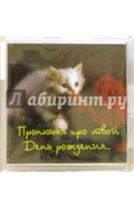 Магнитные подарочки. Пронюхал про твой День рождения... (М-239)