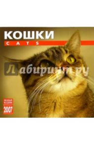 Календарь: Кошки 2007 год (07117)