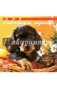 Календарь: Забавные щенки 2007 год (07120)