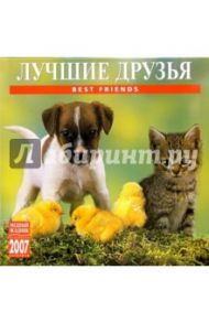 Календарь: Лучшие друзья 2007 год (07121)