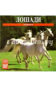 Календарь: Лошади 2007 год (07136)