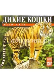 Календарь: Дикие кошки 2007 год (07144)