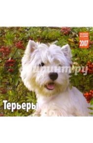 Календарь: Терьеры 2007 год (07211)