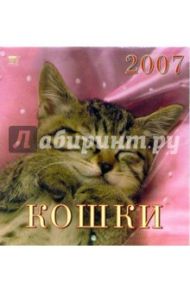 Календарь 2007 Кошки (30604)