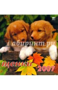 Календарь 2007 Щенки (30606)