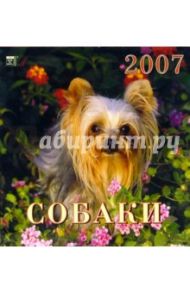 Календарь 2007 Собаки (30607)
