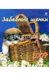 Календарь 2007 Забавные щенки (40601)