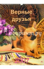 Календарь 2007 Верные друзья (60601)