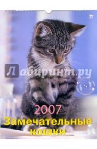 Календарь 2007 Замечательные кошки (60602)
