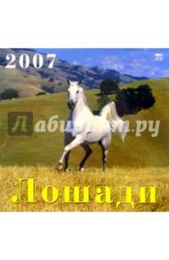 Календарь 2007 Лошади (70601)