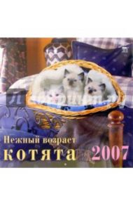 Календарь 2007 Нежный возраст. Котята (70603)