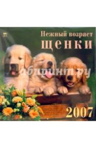 Календарь 2007 Нежный возраст. Щенки (70604)