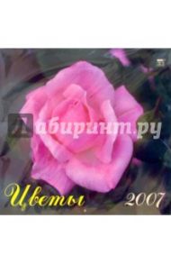 Календарь 2007 Цветы (70607)