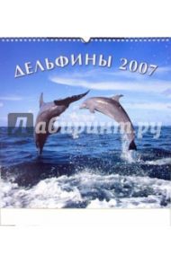 Календарь. Дельфины. 2007 год