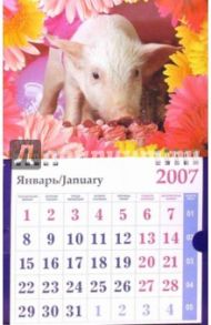 Календарь 2007 Поросенок с тортом (МО-0029)