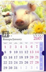 Календарь 2007 Поросенок в ромашках (МО-0025)