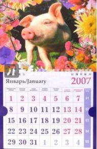 Календарь 2007 Пятачок (МО-0027)