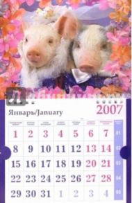 Календарь 2007 Свадебные поросята в цветах (МО-0032)