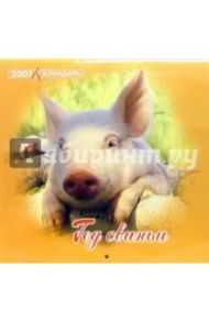 Календарь 2007 Год свиньи (07-12-001)
